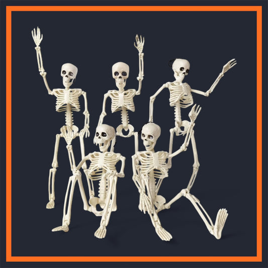 Squelette Articulé Blanc